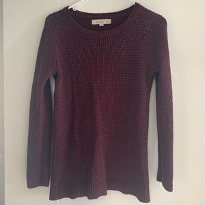 Ann taylor loft sweater